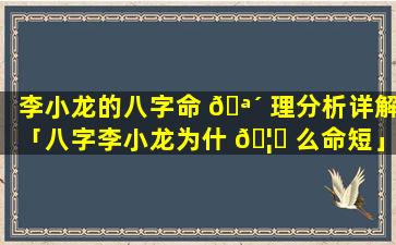 李小龙的八字命 🪴 理分析详解「八字李小龙为什 🦉 么命短」